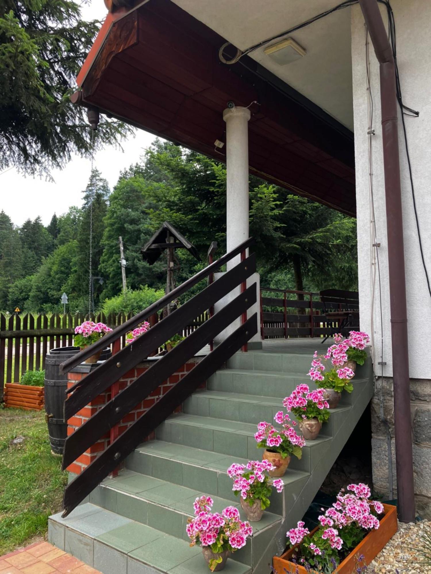 Готель Base Camp Pieniny Niedzica Екстер'єр фото